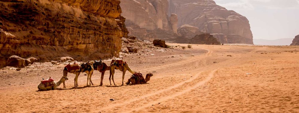 WADI RUM & PETRA DESDE EL PUERTO DE ÁQABA