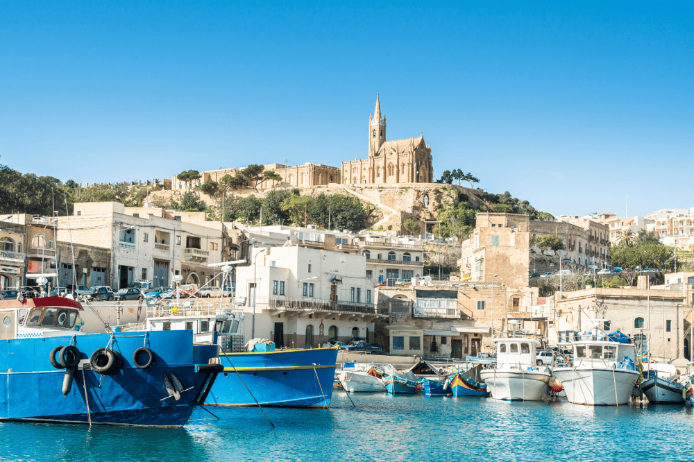 DÍA COMPLETO EN GOZO