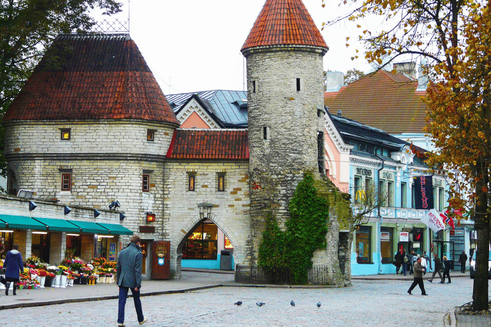 VISITA PANORÂMICA DE TALLIN