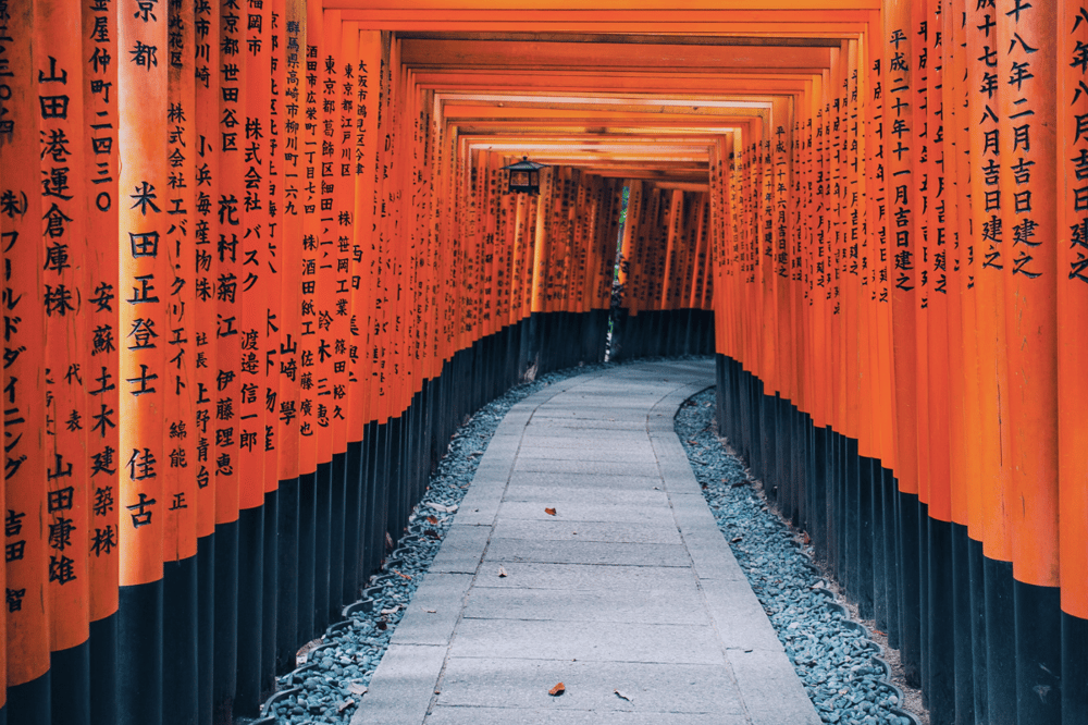 DISCOVERING KYOTO