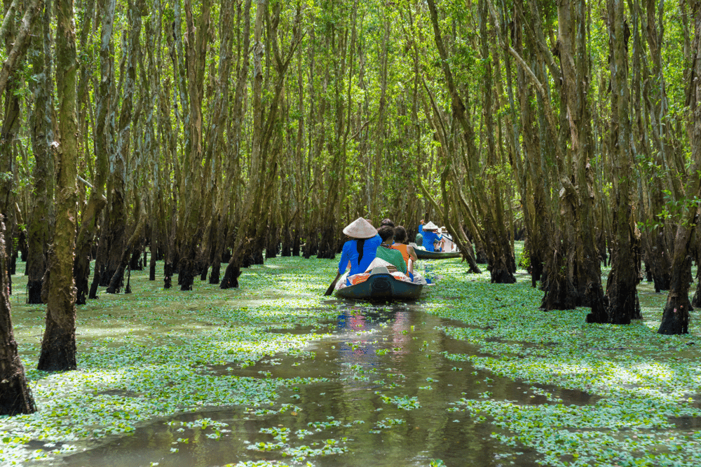 HO CHI MINH Y EL DELTA DEL MEKONG