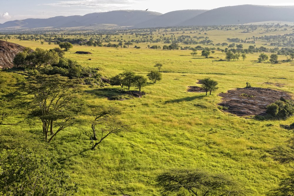 DE KENIA A TANZANIA