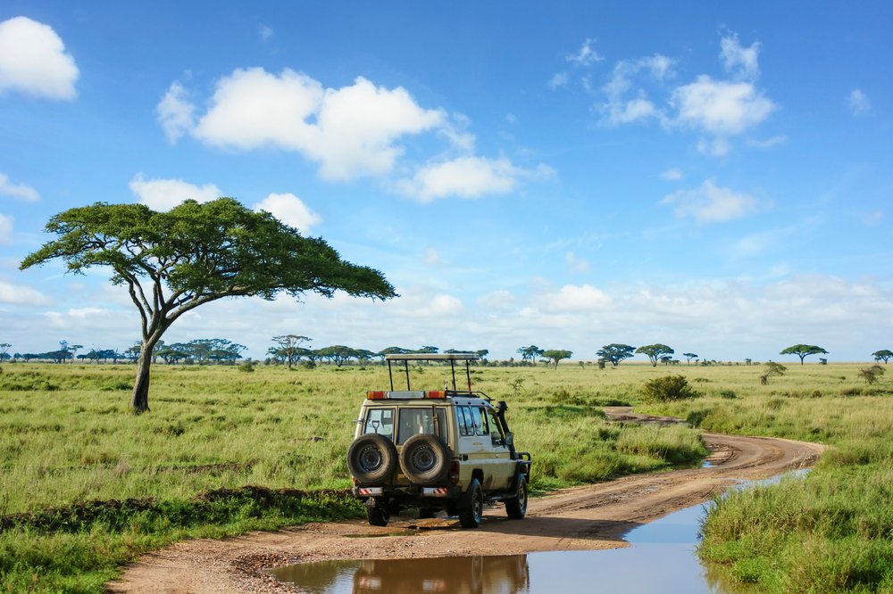 PARQUE NACIONAL SERENGUETI