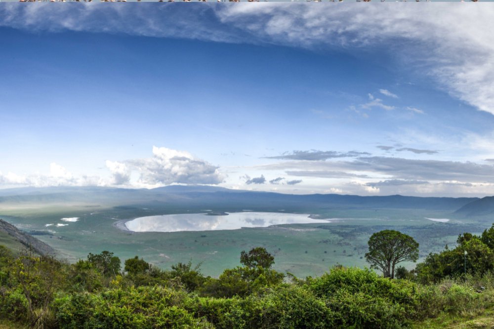SERENGUETI – NGORONGORO