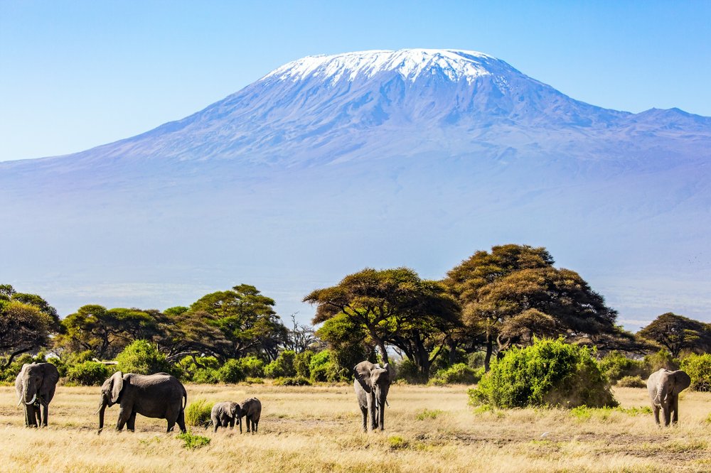 LAGO MANYARA – FRONTERA DE NAMANGA – AMBOSELI