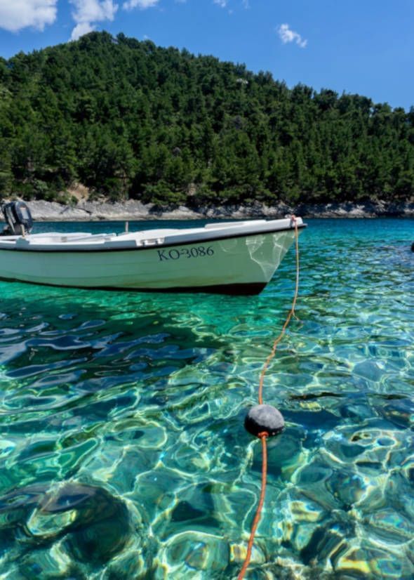 Agua cristalina, bote y vegetación