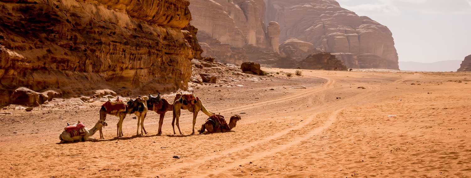 WADI RUM DESDE ÁQABA PARA CRUCERISTAS