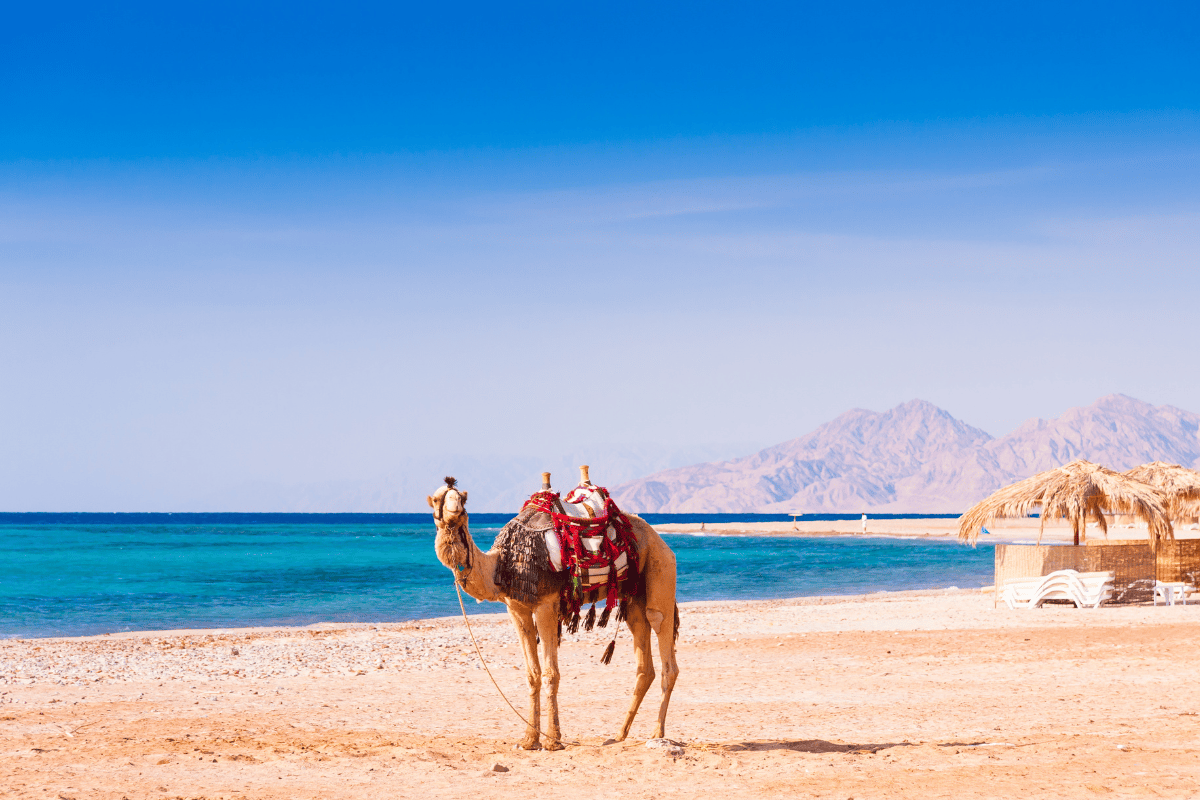 EGIPTO FANTÁSTICO Y HURGADA