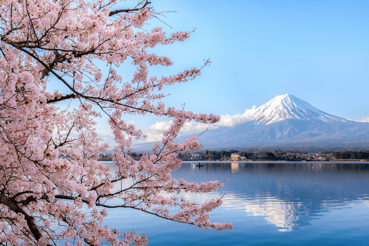 ENCANTOS DO JAPÃO