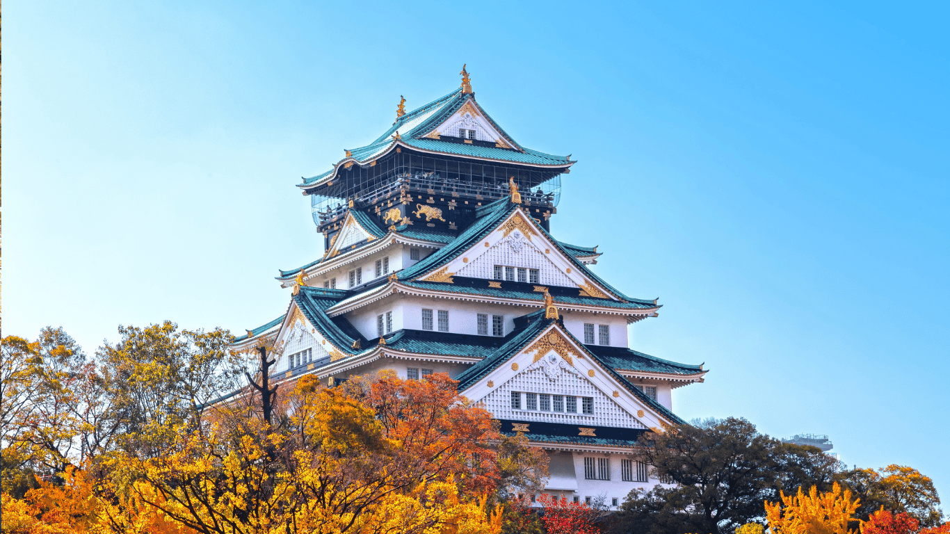 REFLEJOS DE JAPÓN